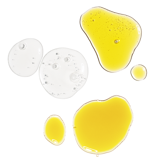 The Antioxidant Collection - US 6389