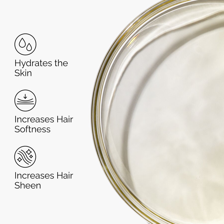 100% Organic Cold-Pressed Moroccan Argan Oil - US 6163