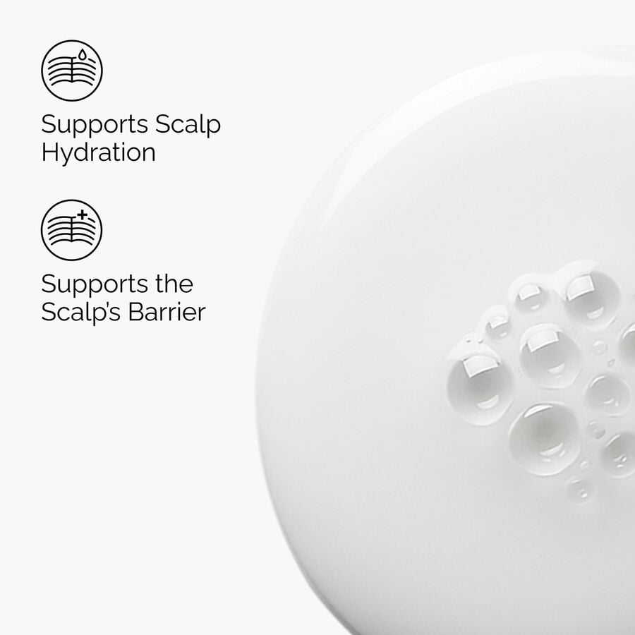 Natural Moisturizing Factors + HA for Scalp - US 6812