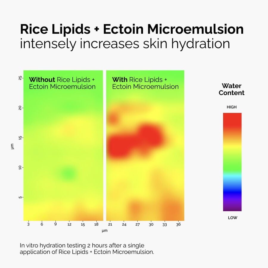 Rice Lipids + Ectoin Microemulsion - US 5038